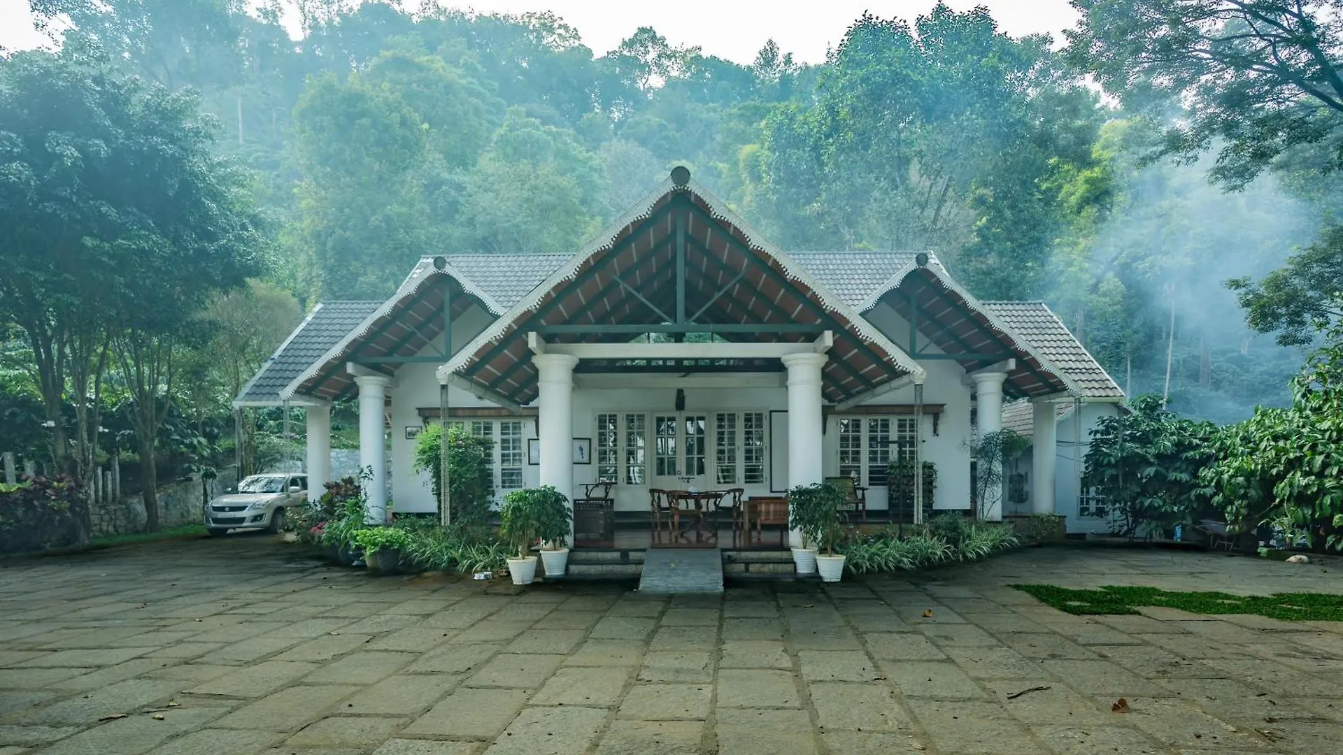 Bougainville, Wayanad Kalpetta Indien