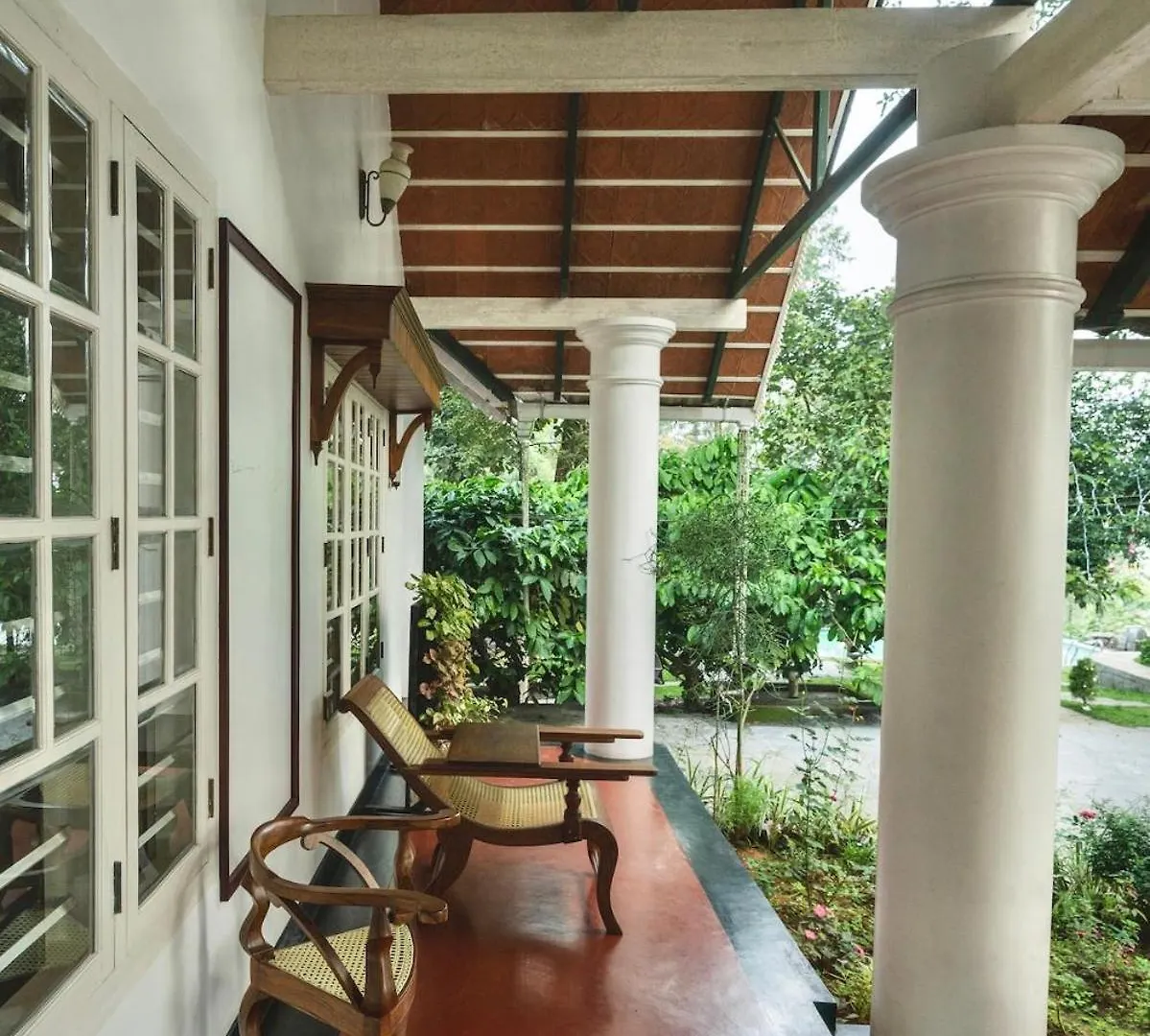 Bougainville, Wayanad Kalpetta 0*,