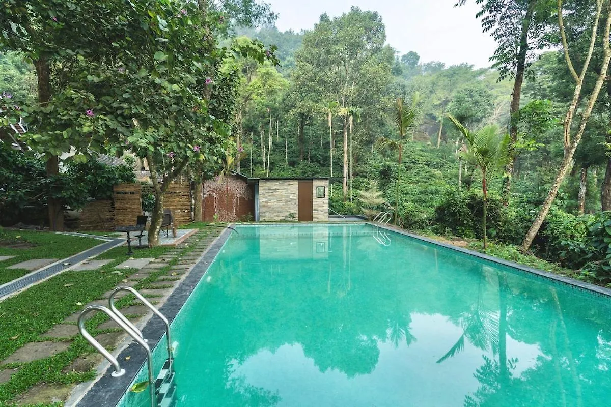 Bougainville, Wayanad Kalpetta